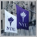 New York University　写真